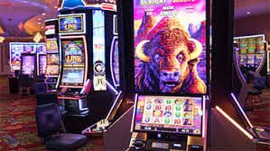 6333bet